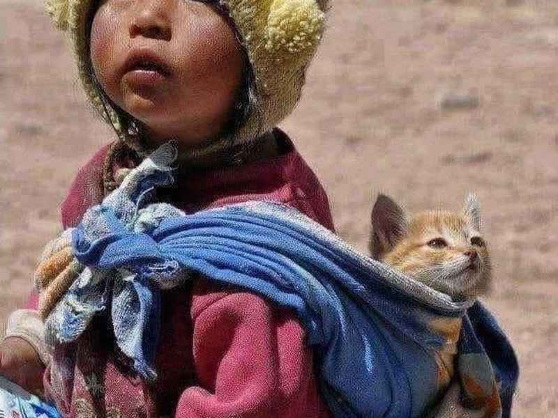 表达生活不易的图片 - 表达生活不易的图片配图