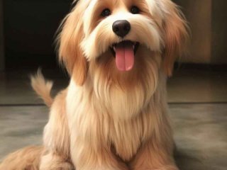 男同性恋性生活