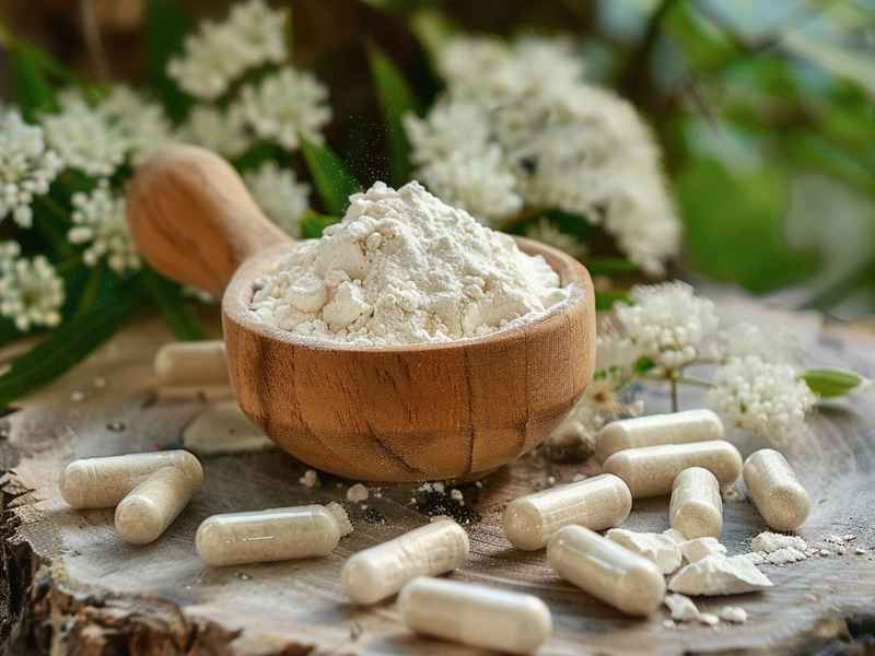 腐糜生活；生活腐化和生活糜烂的区别