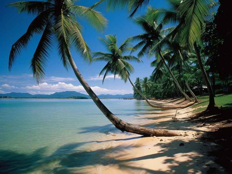 海南生活特色(海南的生活特色) 海南生活特色(海南的生活特色)