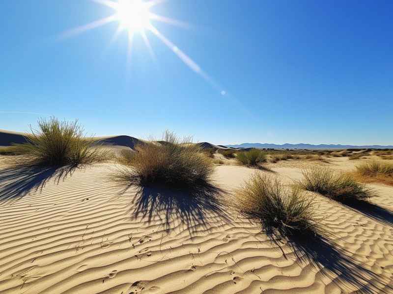 大沙地生活、大沙地有什么好吃的地方 大沙地生活、大沙地有什么好吃的地方
