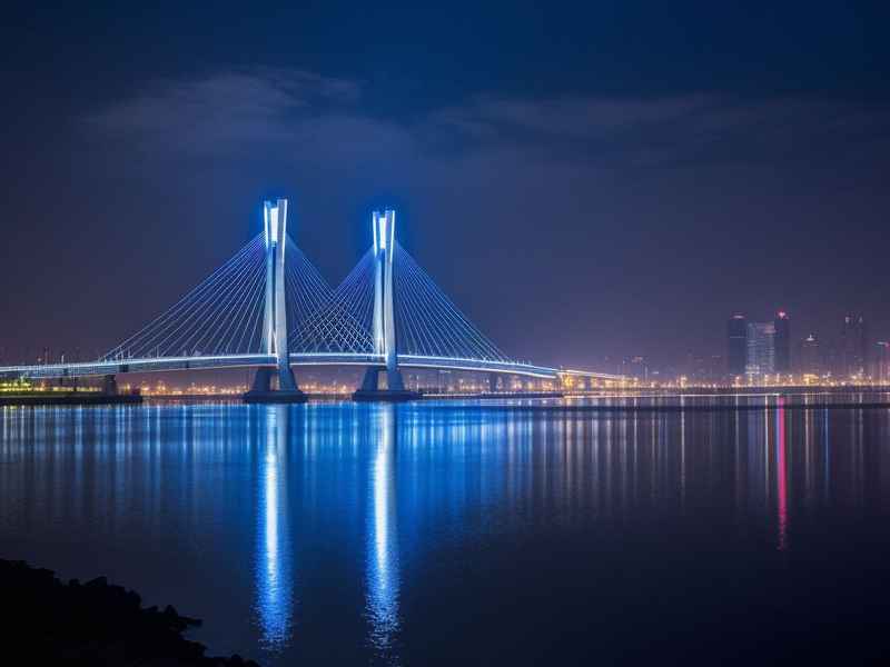 阳逻夜生活 阳逻夜景 阳逻夜生活 阳逻夜景