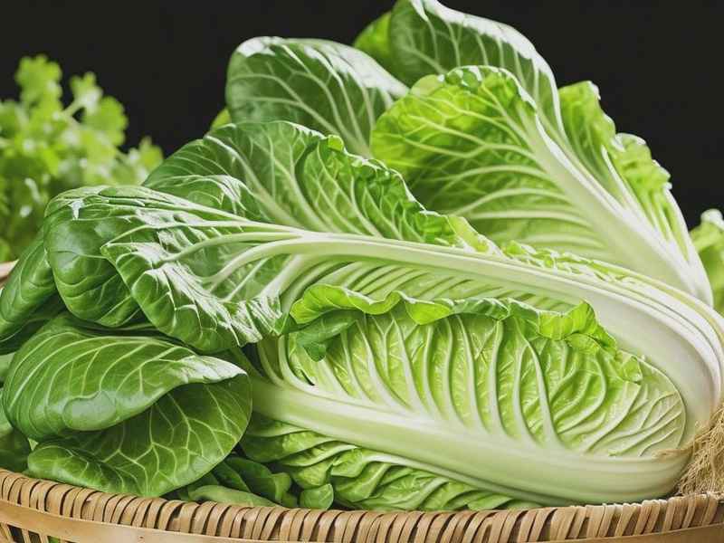 新生活青果菜的功效(新生活青果菜化妆品功效) 新生活青果菜的功效(新生活青果菜化妆品功效)