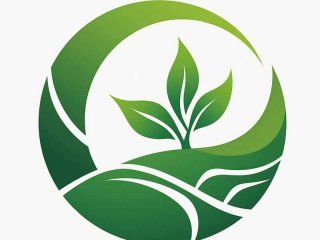 检易生活 - 苏州检易生物科技有限公司怎么样