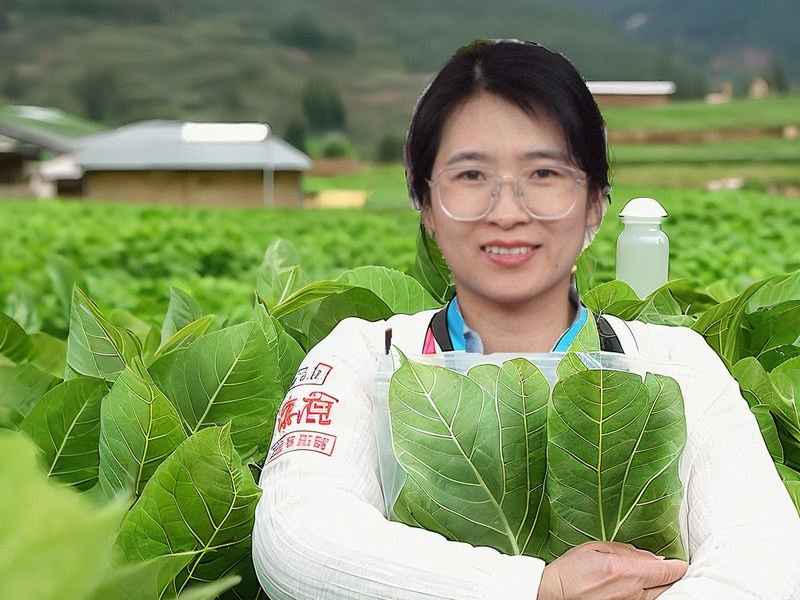 惠南生活网 - 惠南微生活网 惠南生活网 - 惠南微生活网