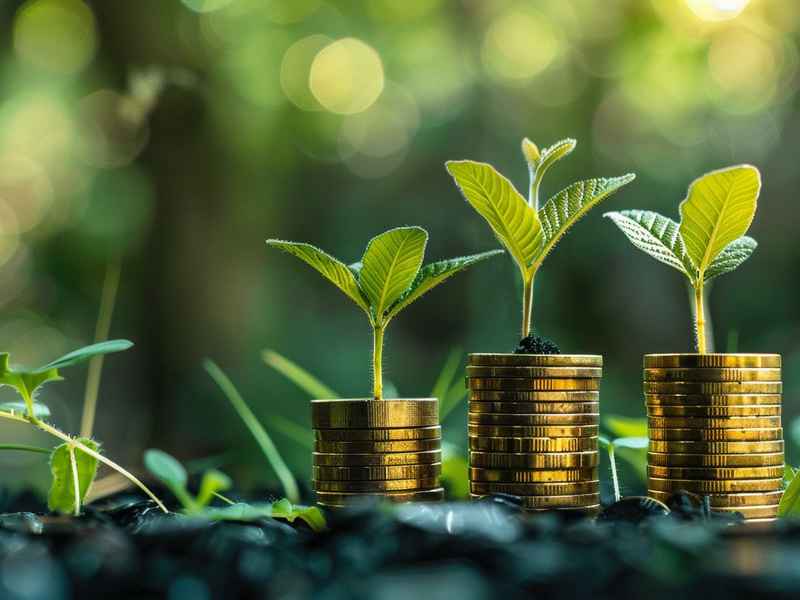 生活投资基金;生活投资基金有哪些 生活投资基金;生活投资基金有哪些