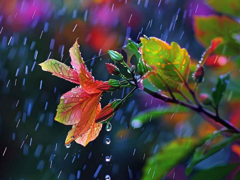 生活中的风风雨雨;生活中的风风雨雨的例子 生活中的风风雨雨;生活中的风风雨雨的例子