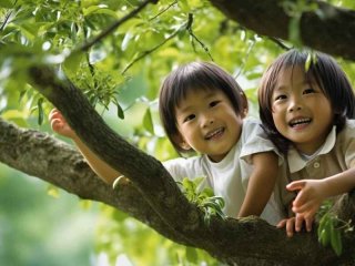 生活杉徳（生活杉德密码忘记了怎么办）