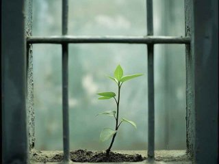 生活潦倒是什么意思 - 生活潦倒是什么意思啊