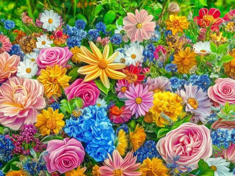 向往的生活花絮 - 向往的生活幕后花絮 向往的生活花絮 - 向往的生活幕后花絮
