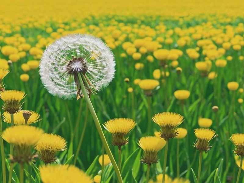 芳芳的幸福生活全文19;芳芳的幸福生活全文阅读 芳芳的幸福生活全文19;芳芳的幸福生活全文阅读