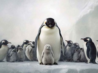 欧亚新生活电影院，欧亚新生活电影院今日影讯查询