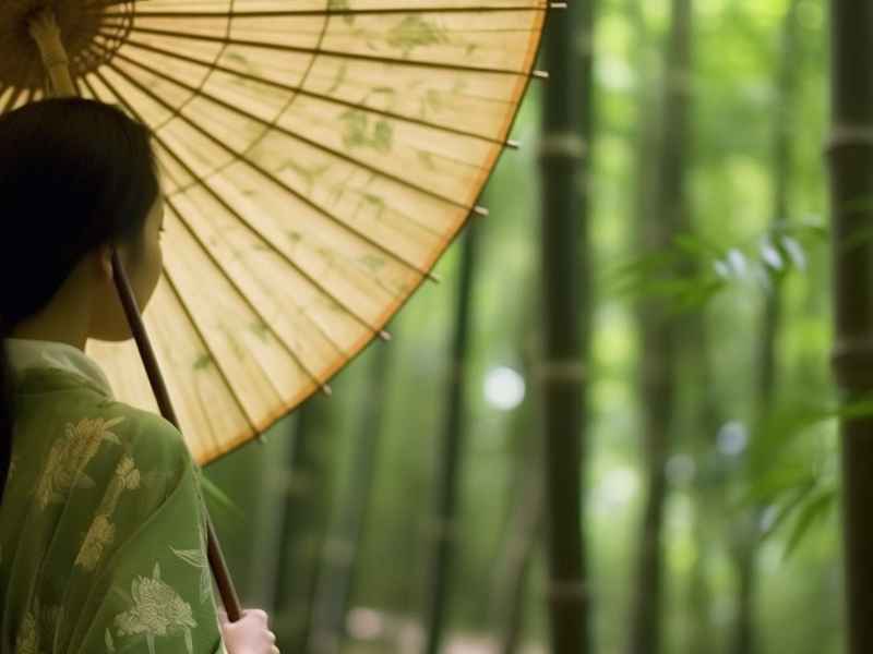 穿越后的淑女生活txt下载、穿越后的淑女生活txt完结 穿越后的淑女生活txt下载、穿越后的淑女生活txt完结