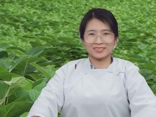 有多少人想回农村生活（有多少人想回农村生活呢）