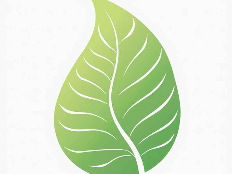 绿叶爱生活用品价格;绿叶爱生活用品价格多少 绿叶爱生活用品价格;绿叶爱生活用品价格多少