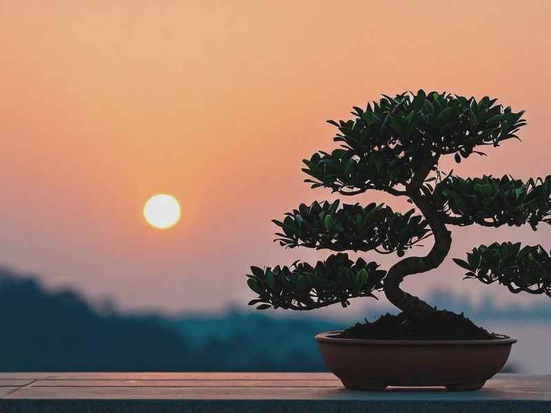 看清了生活的本质;看清了生活的本质是什么 看清了生活的本质;看清了生活的本质是什么