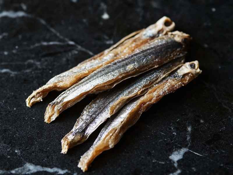 范迪塞尔生活座驾 - 范迪塞尔的座驾是什么 范迪塞尔生活座驾 - 范迪塞尔的座驾是什么