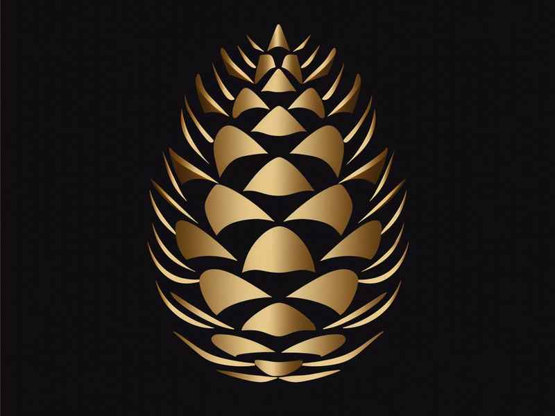 松果生活招聘 松果生活招聘官网