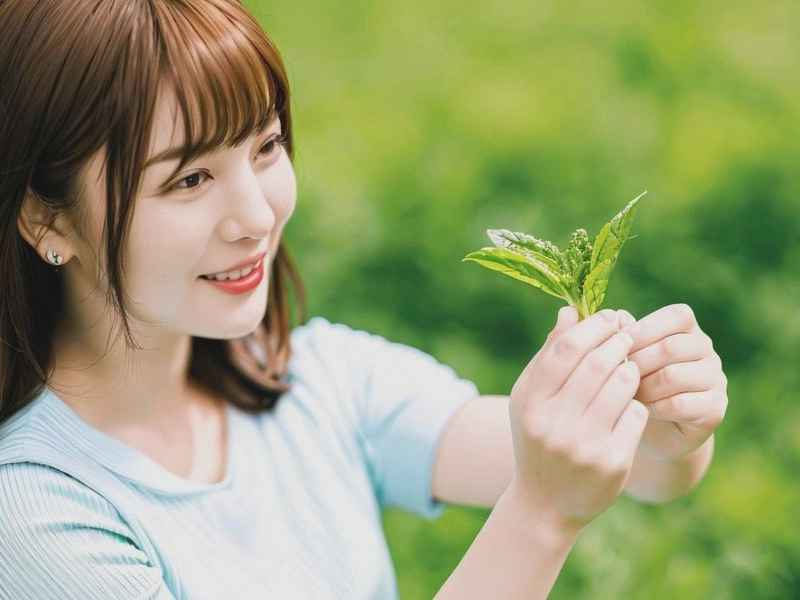 绿药宠妃的美味生活 宠妃的美味生活 绿药百度云 绿药宠妃的美味生活 宠妃的美味生活 绿药百度云
