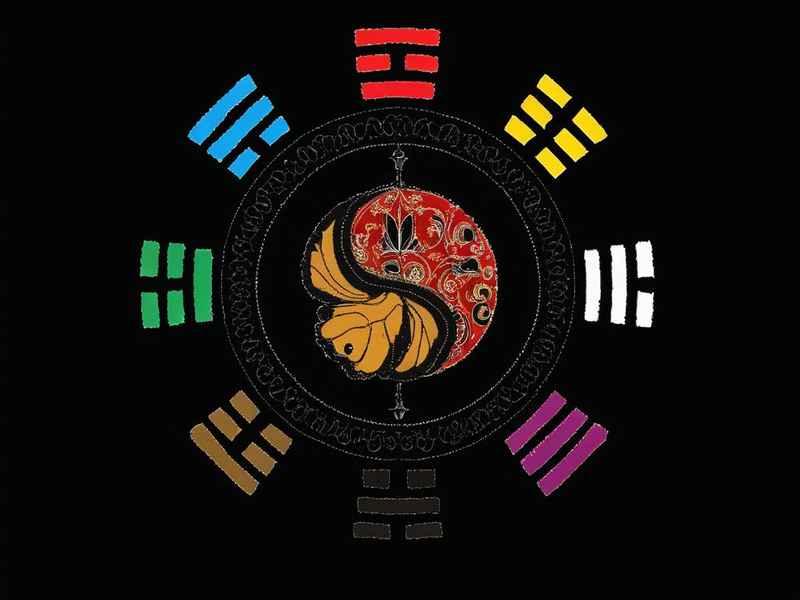 我的易经生活,易经与我们的生活 我的易经生活,易经与我们的生活