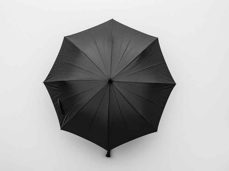生活工具雨伞，雨伞是生活物品还是工具