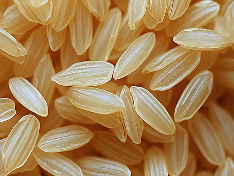 生活妙招去大米霉味、去除大米霉味的小妙招