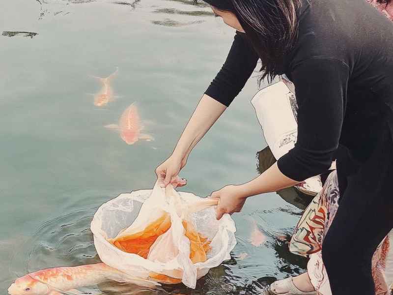 天津市蓟县生活网,天津市蓟县生活网最新消息 天津市蓟县生活网,天津市蓟县生活网最新消息