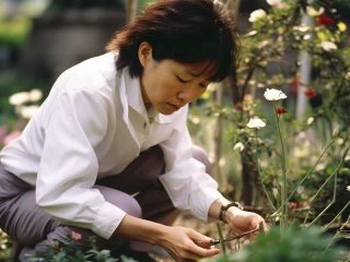 下堂妃的田园生活txt下载（下堂妃的田园生活全文免费阅读）