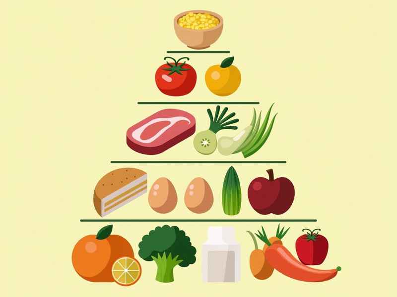 科学饮食健康生活手抄报 - 科学饮食健康成长的手抄报 科学饮食健康生活手抄报 - 科学饮食健康成长的手抄报