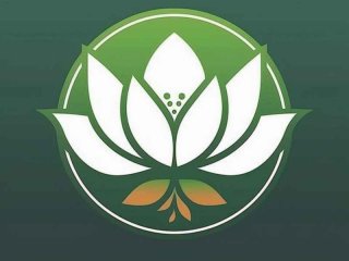 莲邦生活家 莲邦生活家微信公众号