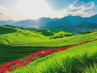 生活之美散文 - 生活之美散文800字