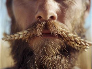 大麦的隐秘生活电影 大麦的隐秘私生活演员列表