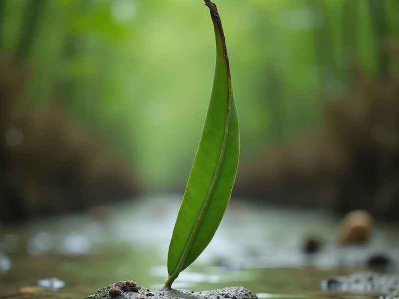纵然生活虐我千百遍;纵然生活虐我千百遍下一句,我待生活如初恋的表情图 纵然生活虐我千百遍;纵然生活虐我千百遍下一句,我待生活如初恋的表情图