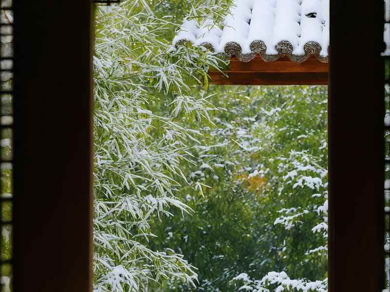 新生活雪中雪、新生活雪非雪图片 新生活雪中雪、新生活雪非雪图片