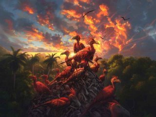 琴鸟的生活地方 琴鸟的生活地方是哪里