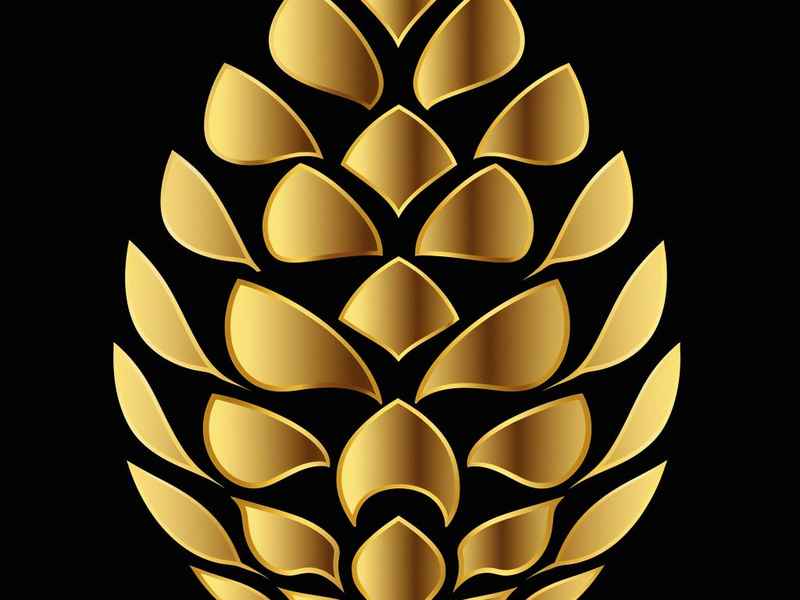 松果生活招聘 松果生活招聘官网