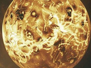 金星夫妇没有夫妻生活；金星夫妇没有夫妻生活吗