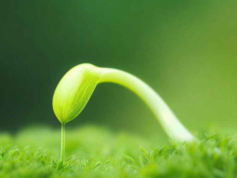 青的幸福生活(青的幸福生活TXT小说下载) 青的幸福生活(青的幸福生活TXT小说下载)