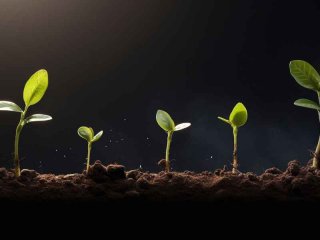 成长改变了我的生活，成长改变了我的生活作文