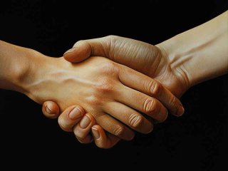生活中关于信任的事例、生活中关于信任的事例有哪些