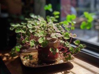 平淡生活有温暖（平淡生活有温暖作文）
