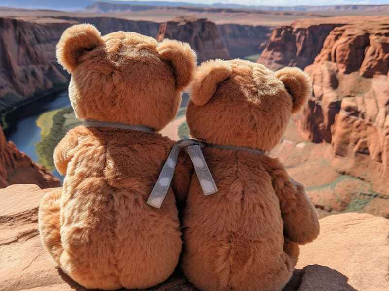 妙享生活 bear 妙享时刻 妙享生活 bear 妙享时刻