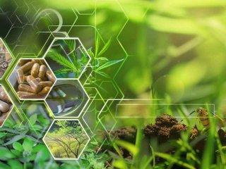 炭机生活下载、炭机生物