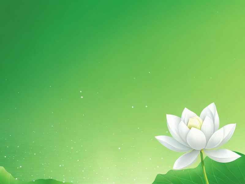 养生活动总结,春季养生活动总结 养生活动总结,春季养生活动总结