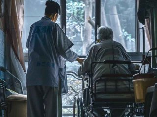 生活我报之以歌 生活报之以痛,我报之以歌
