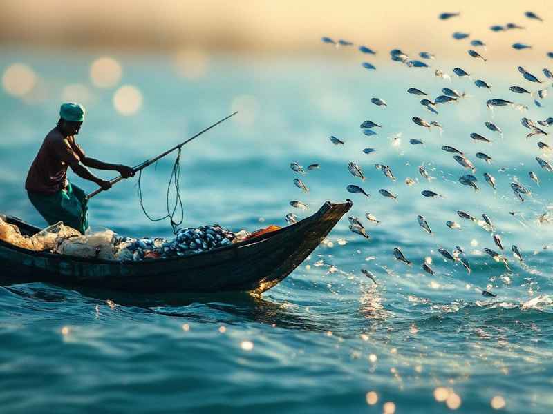 海上捕鱼生活 海上捕鱼生活场景描写 海上捕鱼生活 海上捕鱼生活场景描写