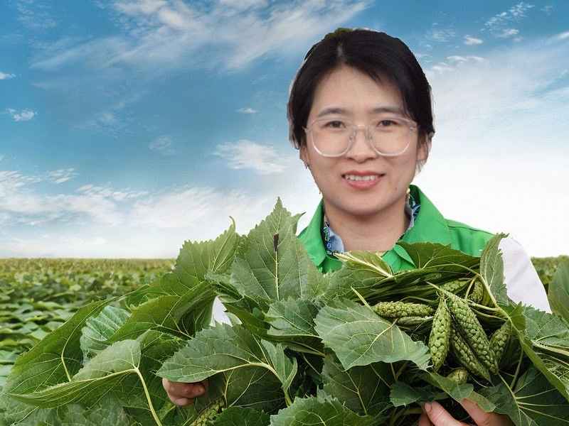 绿叶大生活多可丽 - 绿叶大生活最新消息 绿叶大生活多可丽 - 绿叶大生活最新消息