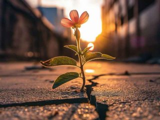 感叹生活诗句 感叹生活的诗句适合发朋友圈