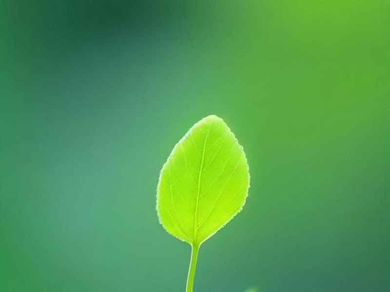 俄罗斯女性性生活、俄罗斯女性性生活电影在线观看 俄罗斯女性性生活、俄罗斯女性性生活电影在线观看