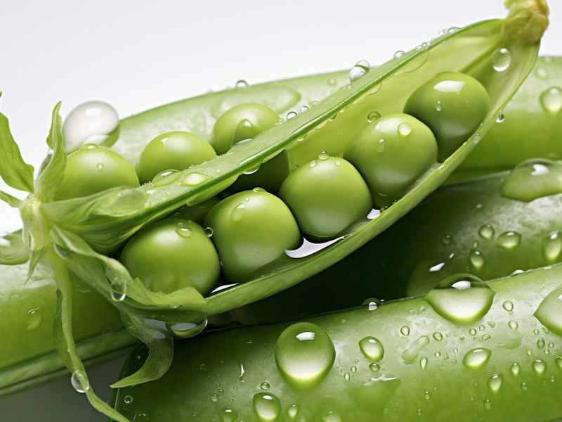 豌豆生活加盟骗局（豌豆生活加盟骗局揭秘）